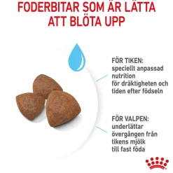 Royal Canin Medium Starter