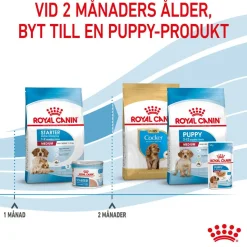 Royal Canin Medium Starter