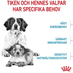 Royal Canin Medium Starter