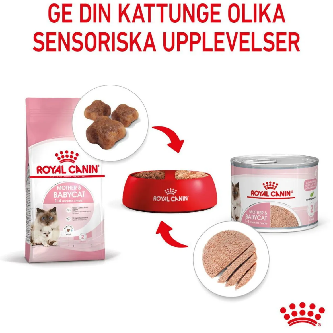 Royal Canin Mother & Babycat Starter Mousse