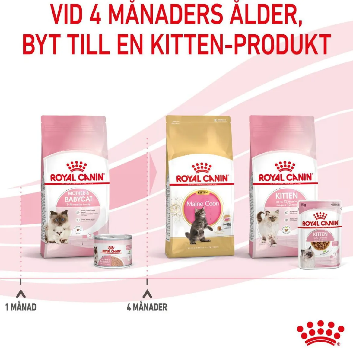 Royal Canin Mother & Babycat Starter Mousse