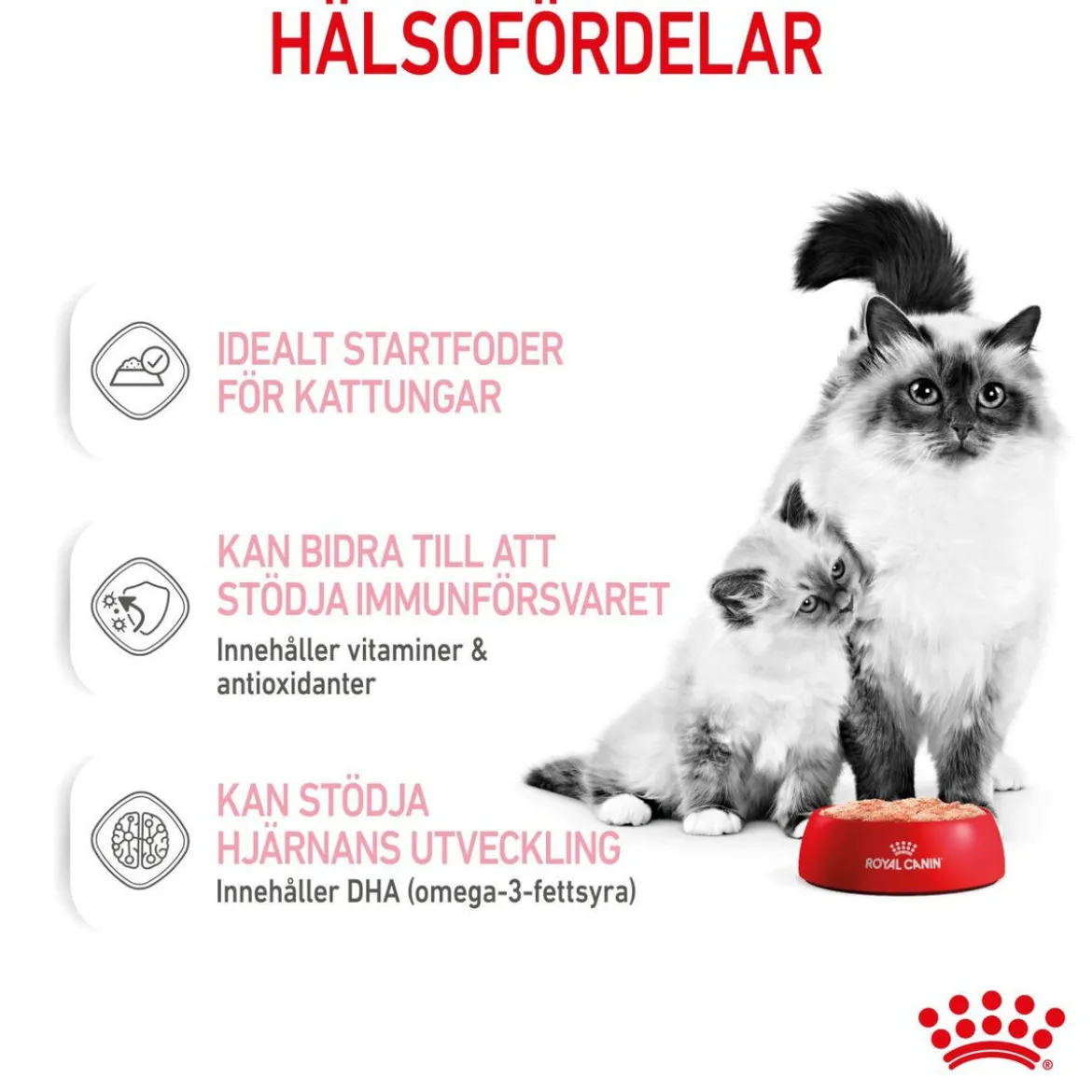 Royal Canin Mother & Babycat Starter Mousse