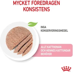 Royal Canin Mother & Babycat Starter Mousse