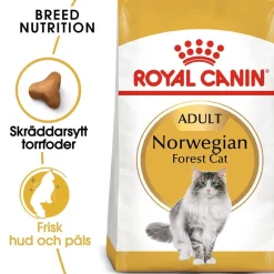 Royal Canin Norsk Skogkatt