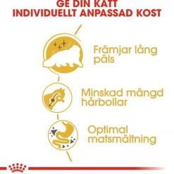 Royal Canin Persian