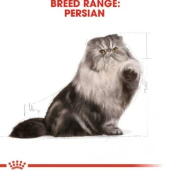 Royal Canin Persian