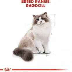 Royal Canin Ragdoll