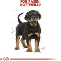 Royal Canin Rottweiler Puppy