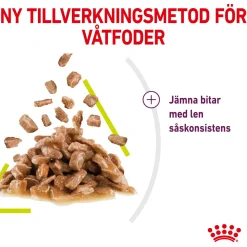 Royal Canin Sensory Smell 12x85 g
