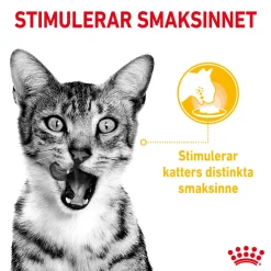 Royal Canin Sensory Taste 12x85 g