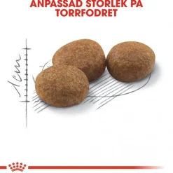 Royal Canin Sterilised 37
