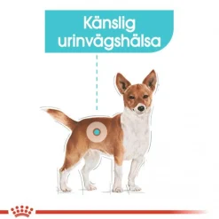 Royal Canin Urinary Care Adult 12x85 g