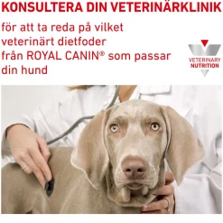 Royal Canin Veterinary Diets Dog Urinary S/O Ageing +7 12x100 g