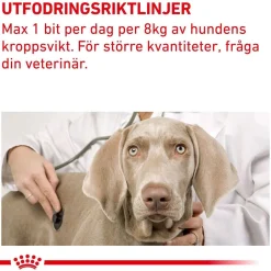 Royal Canin Veterinary Diets Dog Pill Assist Tablettgömma för hund M/L