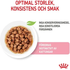 Royal Canin Wet Kitten in Gravy (12x85g)