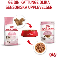 Royal Canin Wet Kitten in Gravy (12x85g)
