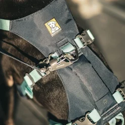 Ruffwear Flagline Hundsele Grå/Turkos