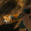 Ruffwear Front Range Flex Hundkoppel 150 cm