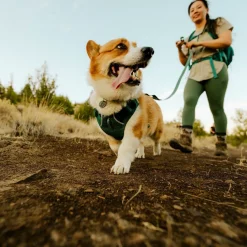 Ruffwear Front Range Flex Hundsele Turkos