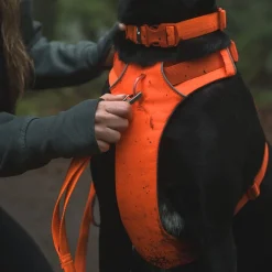 Ruffwear Front Range Hundsele Orange