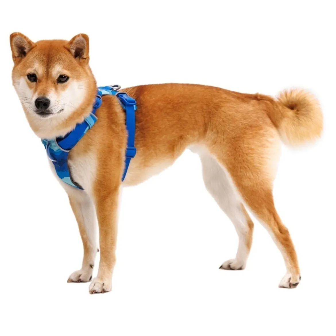 Ruffwear Front Range Hundsele Blå/Ljusblå