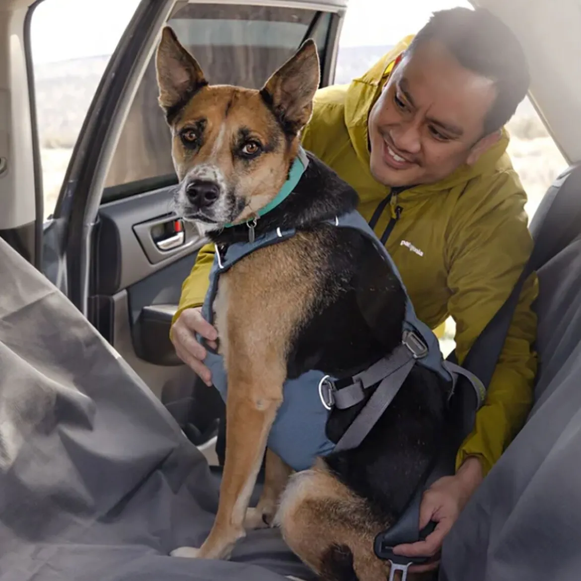 Ruffwear Load Up Hundsele Blå