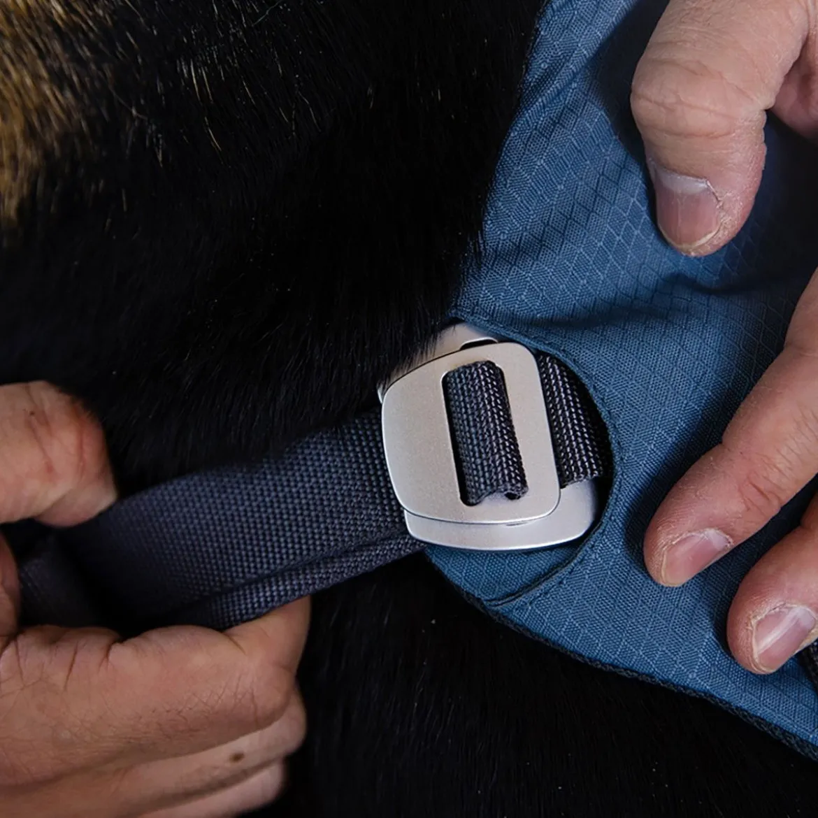 Ruffwear Load Up Hundsele Blå