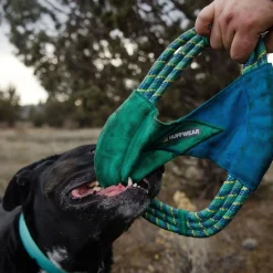 Ruffwear Pacific Ring Hundleksak Turkos