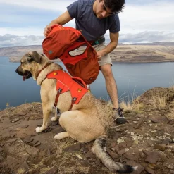 Ruffwear Palisades Klövjeväska Röd