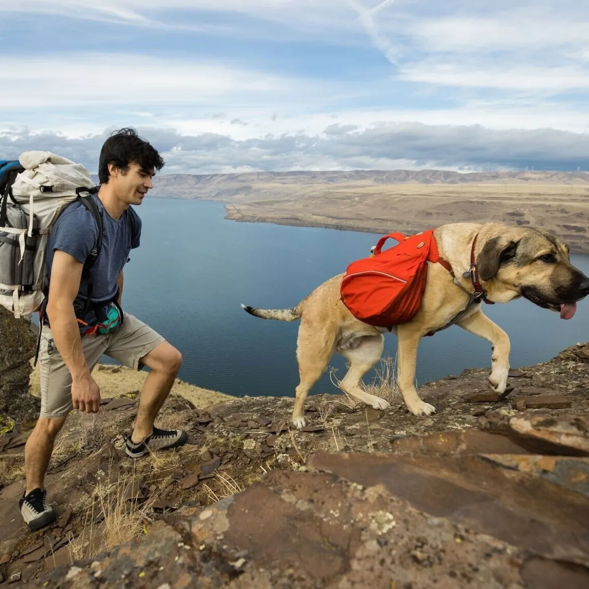 Ruffwear Palisades Klövjeväska Röd
