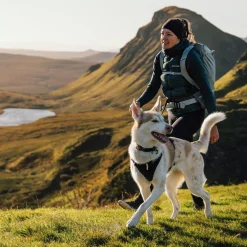 Ruffwear Ridgeline Hundsele Svart