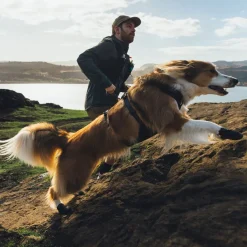 Ruffwear Ridgeline Hundskor Svart 2-pack