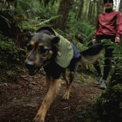 Ruffwear Sun Shower Coverall Hundoverall Mörkblå/Grön