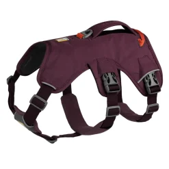 Ruffwear Web Master Hundsele Lila