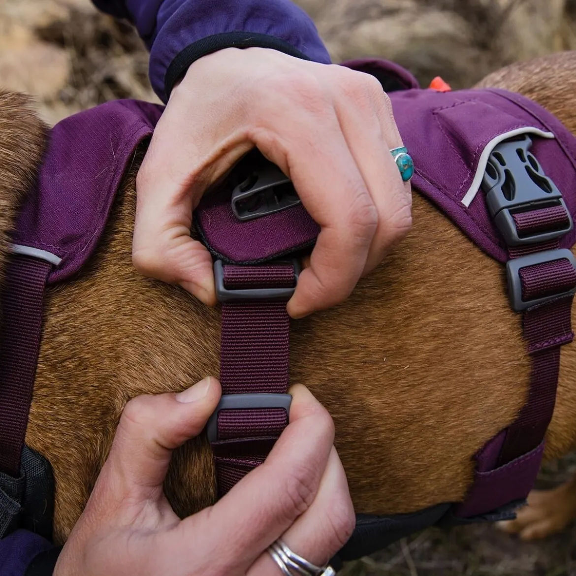 Ruffwear Web Master Hundsele Lila