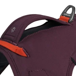 Ruffwear Web Master Hundsele Lila