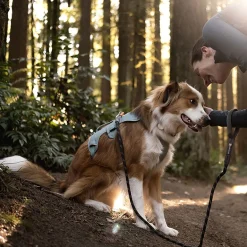 Ruffwear Web Master Hundsele Grön
