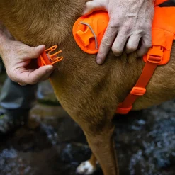 Ruffwear Web Master Hundsele Orange