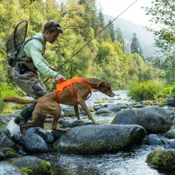Ruffwear Web Master Hundsele Orange