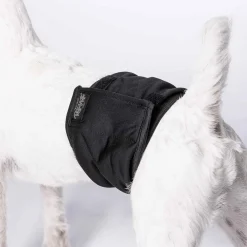 RuttuNuttu Skvättskydd för Hanhund Svart