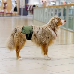 RuttuNuttu Skvättskydd till Hund Grön