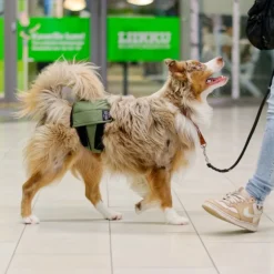RuttuNuttu Skvättskydd till Hund Grön