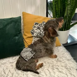 RuttuNuttu Zebra Skvättskydd för Hane Svart/Vit