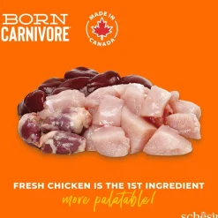 Schesir Born Carnivore Chicken & Egg