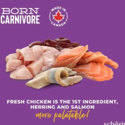 Schesir Born Carnivore Chicken & Herring