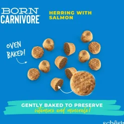 Schesir Born Carnivore Herring & Salmon