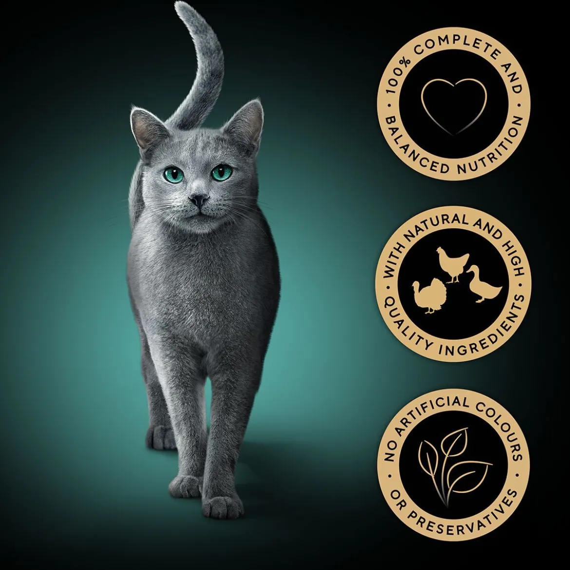 Sheba Fresh & Fine Våtfoder till Katt i Sås 50x50 g