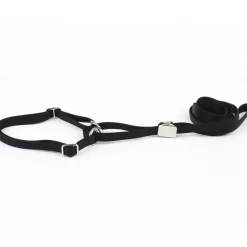 Show Dog Utställningskoppel med Halsband Halvstryp Svart