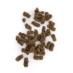 Smaak Vomgodis