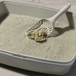 Smily Kattsand Original